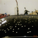 photo0523_ページ_14